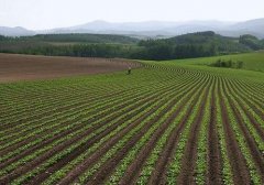 土壤養(yǎng)分速測儀促進(jìn)花草種植科學(xué)管理