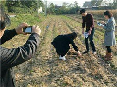 土壤成分檢測儀器